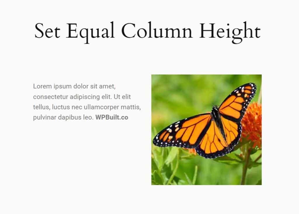 how to set equal column height on elementor